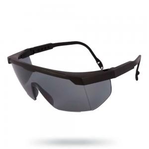 Óculos de Proteção Argon Cinza Antirrisco HC libus
